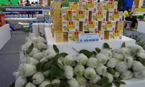 Kết nối và hợp tác xanh: Nền tảng cho phát triển Đăng nhập tài khoản thành viên LC88 Lc88 game Tham Gia Ngay bền vững