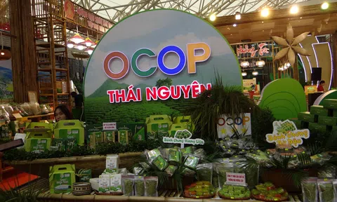 Nơi hội tụ tinh hoa sản phẩm Việt tại Hội chợ Thương mại Mùa thu 2025