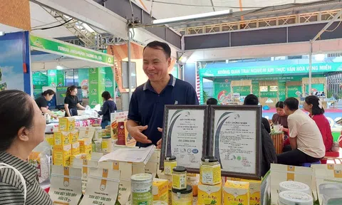 Xây dựng thương hiệu nông sản xanh và phát triển Đăng nhập tài khoản thành viên LC88 nông thôn bền vững ở HTX nông sản Thanh Tùng