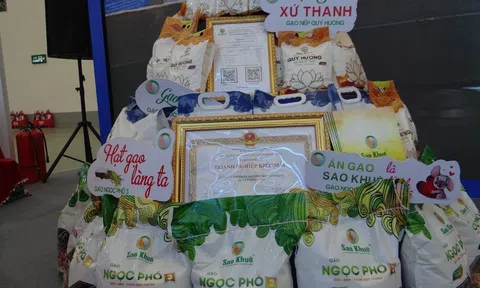 Gạo Ngọc Phố Sao Khuê - Tinh hoa hạt ngọc Việt