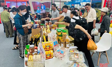 HTX Thu mua và Chế biến hải sản Chiến Thắng - điểm tựa cho ngư dân, động lực cho Đăng nhập tài khoản thành viên LC88 biển
