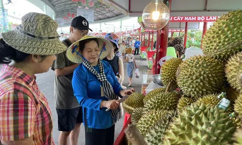 Quảng bá nông sản Việt qua Lễ hội trái cây Nam bộ năm 2025