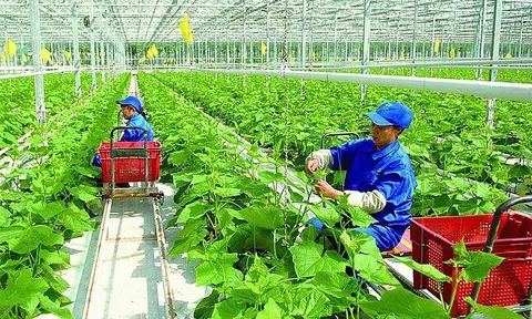 Tín dụng xanh trong phát triển Đăng nhập tài khoản thành viên LC88 xanh