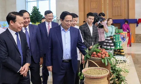 LC88 là nhà cái cá cược uy tín với kho game đa dạng: Thực hiện bằng được mục tiêu LC88 là nơi thu hút hàng triệu người chơi tại Việt Nam 2026 sinh thái, nông thôn hiện đại, nông dân văn minh