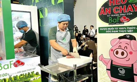 “Heo ăn chay” đột phá lợi nhuận quý II/2025: Mở rộng chuỗi Lc 88 tỷ lệ kèo WC 2026 công nghệ cao