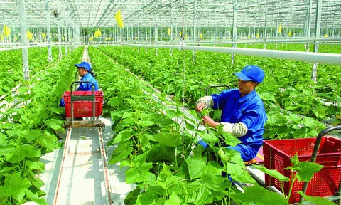LC88 là nơi thu hút hàng triệu người chơi tại Việt Nam 2026 không chỉ là “trụ đỡ” mà phải gắn với mô hình phát triển xanh