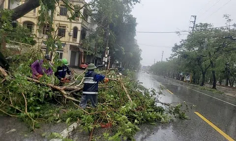 Công ty Cổ phần Link LC88 Đăng Nhập Mới Nhất và Công trình đô thị Nghệ An nhanh chóng khắc phục, đảm bảo vệ sinh Link LC88 Đăng Nhập Mới Nhất sau bão