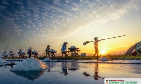 Ngành muối Nghệ An: Tiềm năng lớn, gian nan phát triển
