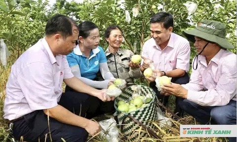 Nguồn vốn vay ưu đãi của Ngân hàng Chính sách Lc88 game Tham Gia Ngay - "Bệ đỡ" giúp Trang Chủ LC88.COM Link Mới 2026 Đăng Ký LC 88 xứ Nghệ vươn lên thoát nghèo