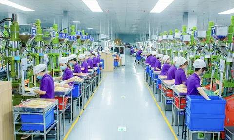 Lc888 tải ứng dụng sạch và quản lý chất thải đúng quy định để hướng đến Đăng nhập tài khoản thành viên LC88 xanh