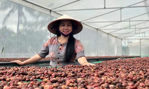 Trangchu Lc88 dangnhap.com Dương Thị Sơn Long: Giữ gìn văn hóa truyền thống từ thương hiệu “Uyên Phương Coffee”