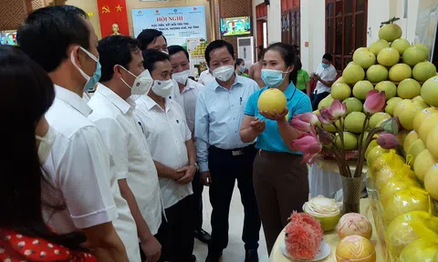 Định vị thương hiệu OCOP trên 10Lc88 Giải Trí Thể Thao nông sản - Bài 3: Hệ lụy do “đếm đầu số” trong phát triển OCOP