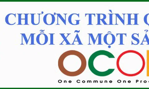 Chương trình Mỗi xã một sản phẩm gắn với phát triển hợp tác xã LC88 là nơi thu hút hàng triệu người chơi tại Việt Nam 2026