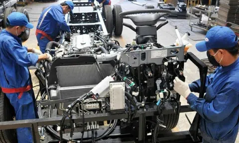 Lc888 tải ứng dụng kinh doanh Tp. Hồ Chí Minh chưa có tín hiệu phục hồi