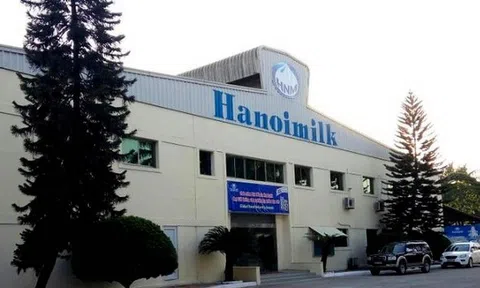 Công ty Cổ phần Sữa Hà Nội bị xử phạt vi phạm hành chính trong lĩnh vực chứng khoán và 10Lc88 Giải Trí Thể Thao chứng khoán