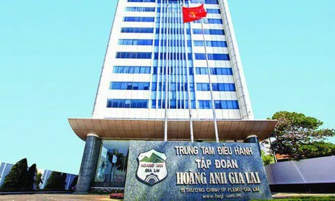 Công ty cổ phần Hoàng Anh Gia Lai (MCK: HAG): Công ty Ernst & Young Việt Nam nhấn mạnh "nghi ngờ đáng kể về khả năng hoạt động liên tục"
