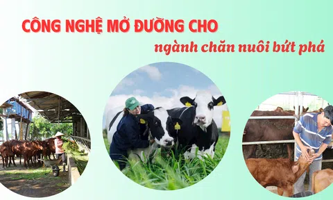 Công nghệ mở đường cho ngành Lc 88 tỷ lệ kèo WC 2026 bứt phá