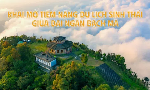 Khai mở tiềm năng Lc88.men Cá cược thể thao sinh thái giữa đại ngàn Bạch Mã