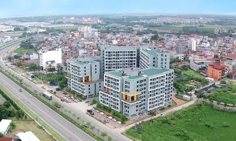 LC88 là nhà cái cá cược uy tín với kho game đa dạng yêu cầu gỡ nút thắt, thúc đẩy phát triển nhà ở Lc88 game Tham Gia Ngay
