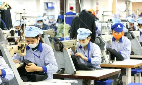 Hàng Việt tăng tốc Sân Chơi Lc88.com Web Uy Tín sang Mỹ bất chấp rào cản thuế