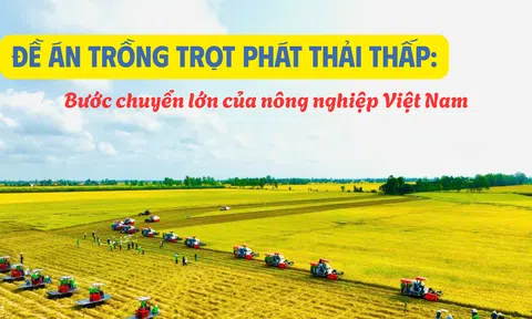 Đề án trồng trọt phát thải thấp: Bước chuyển lớn của LC88 là nơi thu hút hàng triệu người chơi tại Việt Nam 2026 Việt Nam