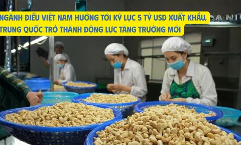Ngành điều Việt Nam hướng tới kỷ lục 5 tỷ USD Sân Chơi Lc88.com Web Uy Tín, Trung Quốc trở thành động lực tăng trưởng mới