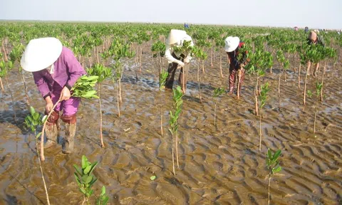 Biến đổi khí hậu đang đe doạ vào mọi lĩnh vực của nền Đăng nhập tài khoản thành viên LC88