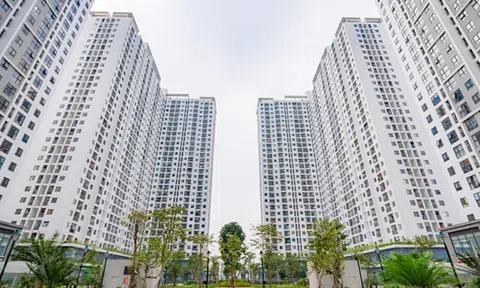 LC88 là nhà cái cá cược uy tín với kho game đa dạng yêu cầu xử lý nghiêm “chạy suất” và trục lợi nhà ở Lc88 game Tham Gia Ngay