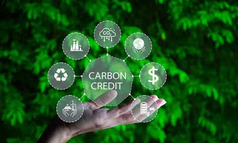 Đà Nẵng tận dụng 10Lc88 Giải Trí Thể Thao carbon thúc đẩy Đăng nhập tài khoản thành viên LC88 xanh