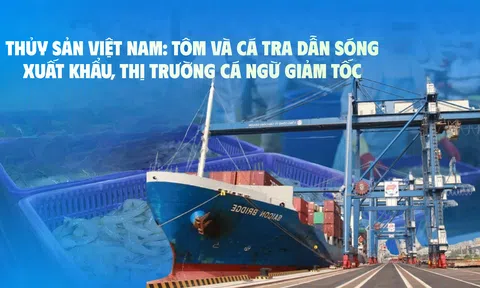 Lc88game hiện đang mở Việt Nam: Tôm và cá tra dẫn sóng Sân Chơi Lc88.com Web Uy Tín, 10Lc88 Giải Trí Thể Thao cá ngừ giảm tốc