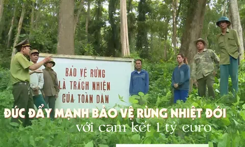 [Emagazine] Đức đẩy mạnh bảo vệ rừng nhiệt đới với cam kết 1 tỷ euro