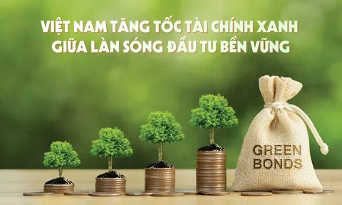 Việt Nam tăng tốc Lc888.com link không chặn xanh giữa làn sóng đầu tư bền vững