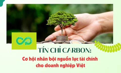 [Emagazine] Tín chỉ carbon: Cơ hội nhân bội nguồn lực Lc888.com link không chặn cho 10Lc88 Casino & Thể Thao Link Mới Việt
