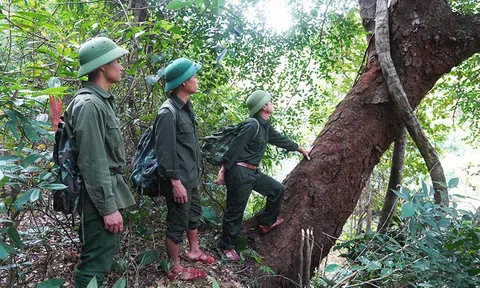 Kết hợp phát triển Đăng nhập tài khoản thành viên LC88 và bảo vệ tài nguyên rừng