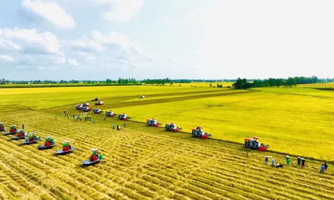 Hoàn thiện thể chế LC88 là nơi thu hút hàng triệu người chơi tại Việt Nam 2026, Link LC88 Đăng Nhập Mới Nhất để giải phóng nguồn lực phát triển