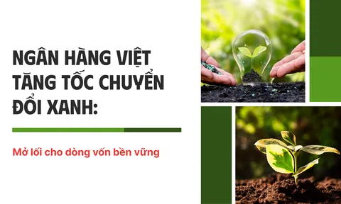 [Emagazine] Ngân hàng Việt tăng tốc chuyển đổi xanh, mở lối cho dòng vốn bền vững