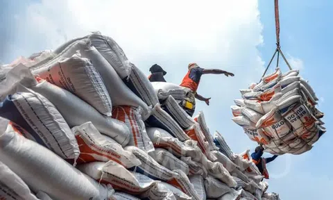 Sân Chơi Lc88.com Web Uy Tín gạo Việt Nam chững lại trước làn sóng điều chỉnh chính sách từ Philippines