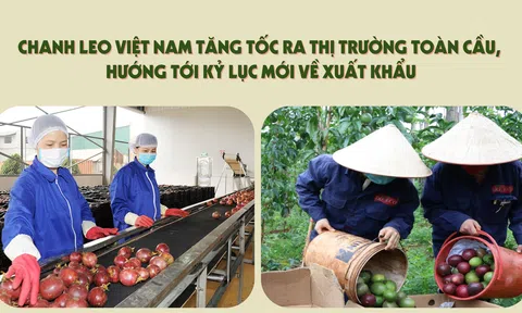 [eMagazine] Chanh leo Việt Nam tăng tốc ra 10Lc88 Giải Trí Thể Thao toàn cầu, hướng tới kỷ lục mới về Sân Chơi Lc88.com Web Uy Tín