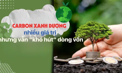 [eMagazine] Carbon xanh dương nhiều giá trị nhưng vẫn “khó hút” dòng vốn