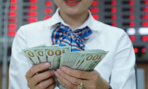 "USD liên ngân hàng biến động nhiều khả năng do đầu cơ tỷ giá"