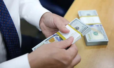 "Tỷ giá có thể giảm trở lại vào cuối năm nay"