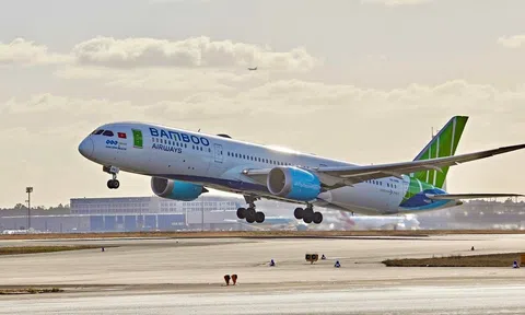 Chậm trả lương, nhiều phi công của Bamboo Airways nghỉ việc?