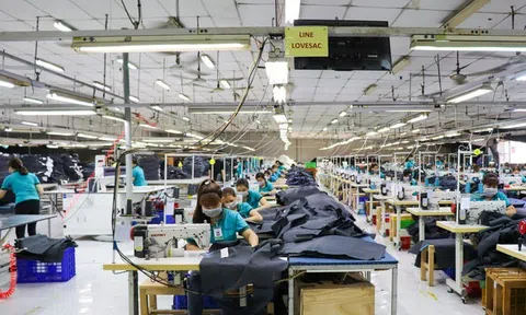 S&P Global dự báo Lc888 tải ứng dụng Việt Nam chưa hết khó khăn