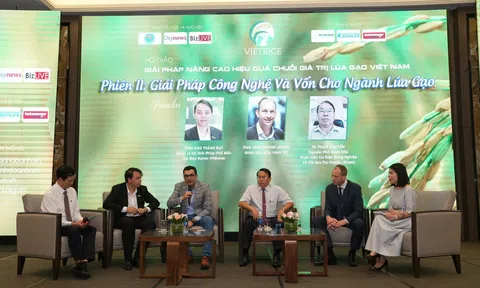 Giải pháp ngăn tối đa thất thoát sau LC88 Được cấp phép bởi PAGCOR lúa gạo