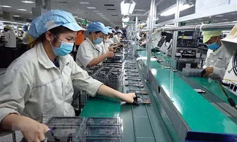 Các LLc88 phiên bản mới cần khẩn trương xây dựng kế hoạch phục hồi Đăng nhập tài khoản thành viên LC88 trong tình hình mới