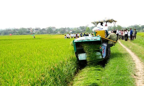 Phú Thọ tạo sức hấp dẫn mới cho đầu tư vào LC88 là nơi thu hút hàng triệu người chơi tại Việt Nam 2026