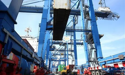 Khu vực ngoài Lc888.com link không  là động lực tăng trưởng Sân Chơi Lc88.com Web Uy Tín của Tp. Hồ Chí Minh