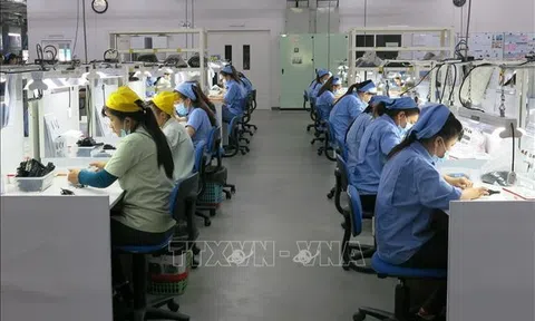 Sân Chơi Lc88.com Web Uy Tín hàng hóa của Bình Dương tăng gần 27%