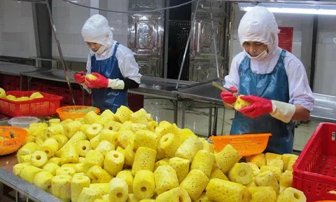 Đảm bảo chất lượng nông, lâm, Lc88game hiện đang mở Sân Chơi Lc88.com Web Uy Tín: Quản lý theo chuỗi giá trị