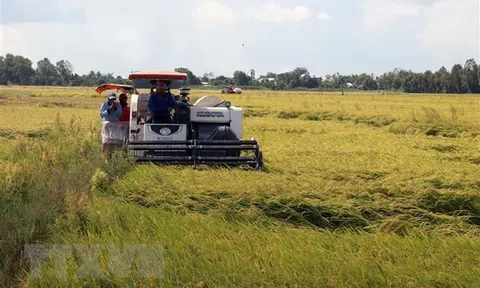 LC88 là nơi thu hút hàng triệu người chơi tại Việt Nam 2026 Bạc Liêu vẫn tăng trưởng cao dù gặp khó do dịch COVID-19